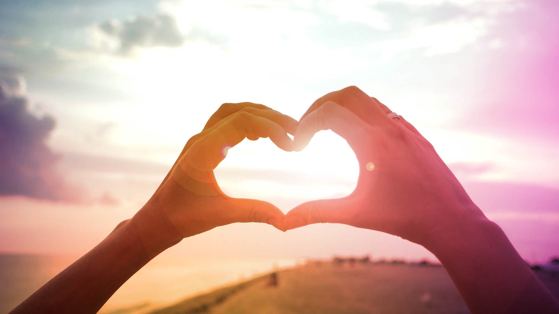 HOW TO USE HARBINGER CORRECTLY visual data 6